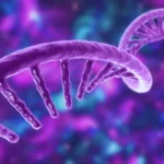 Advancing Precision Medicine with siRNA Therapeutics