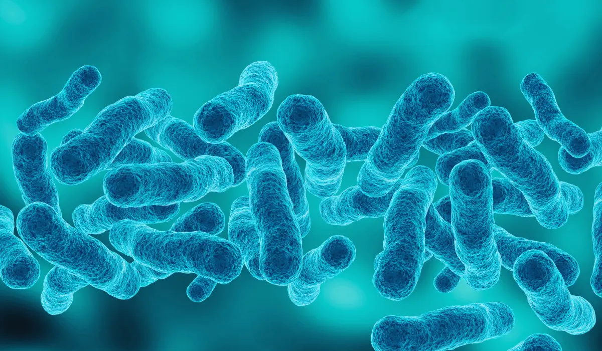 Could This Synthetic Molecule Be the Answer to Drug-Resistant Bacteria?